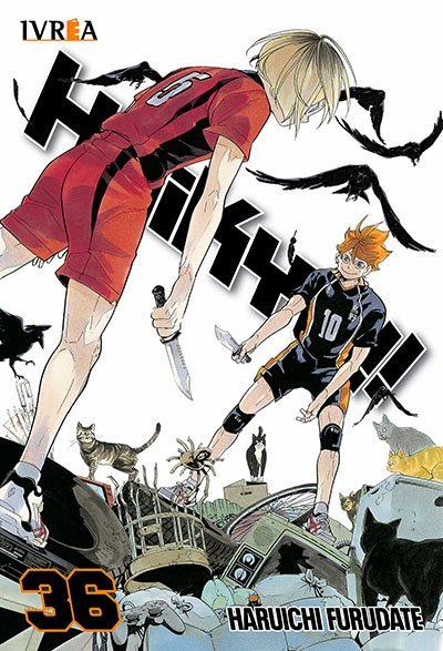 Haikyuu 36